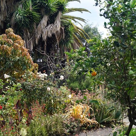 로스 야노스 데 아리다네 La Casita Del Jardinero 빌라 외부 사진